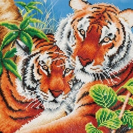 DD10.004  Tender Tigers