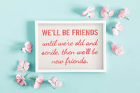 Friendship Quilt Special Edition