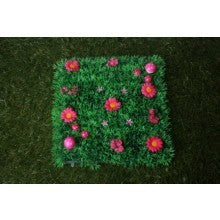 Pink Daisy Grass w/Mushrooms