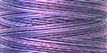 CV009 Grapes - Cotton Quilting Thread Variegated (Spool or Cone)