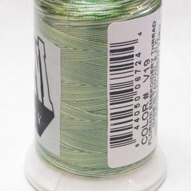 V19 - Green Meadow Variegated Thread - 1000 mtr spool