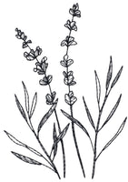 BOTANICALS & BLACKWORK