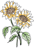 BOTANICALS & BLACKWORK