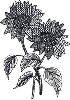 BOTANICALS & BLACKWORK