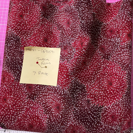 M041-D590591