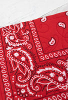 OLD WEST BANDANA BAG