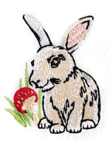 WOODLAND ANIMALS