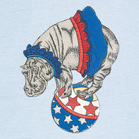 Circus Dreams