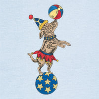 Circus Dreams