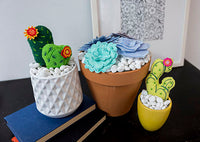 Project - 3D Cactus (P)