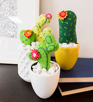 Project - 3D Cactus (P)