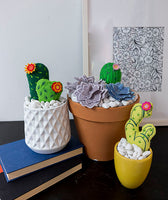 Project - 3D Cactus