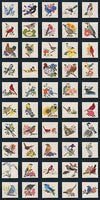 Birds & Flowers of the 50 States - Special Edition