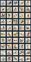 Birds & Flowers of the 50 States - Special Edition (P)