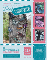 EXPRESS - PROJECT 20 - 3D Butterflies & Dragonflies