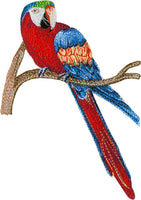 Mini - Tropical Birds (P)