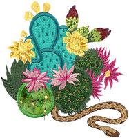 Mini - Blooming Cacti