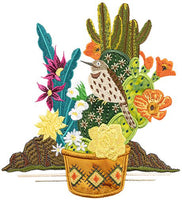 Mini - Blooming Cacti