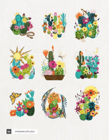 Mini - Blooming Cacti