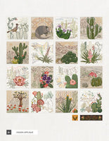 Cacti & Creatures