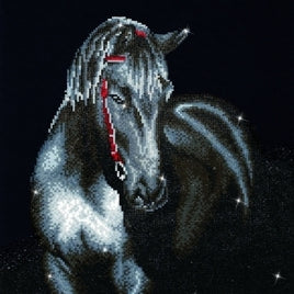 DD10.012 Midnight Stallion