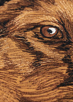 Dog Portraits