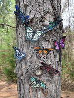 EXPRESS - PROJECT 20 - 3D Butterflies & Dragonflies