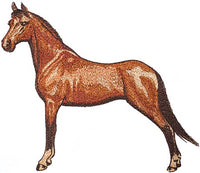 Mini - Equestrian