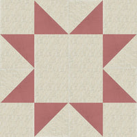 Anita University - 201  I Can Quilt - Curriculum & Designs (P)
