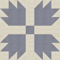 Anita University - 201  I Can Quilt - Curriculum & Designs (P)