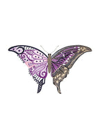 Metamorphic Magic