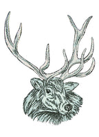 Wild Mandalas