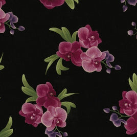 TT5649AM Orchids Spaced Bouquet Black/Magenta (per metre)
