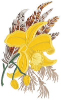 Mini - Orchids & Feathers