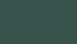 RW0298 - Dark Army Green -  Micro Thread, 60wt, 1000 mtr spool