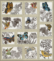 Natures Sketches