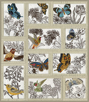 Natures Sketches