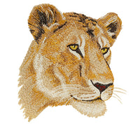 Big Cats