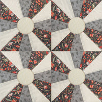 Anita University - 201  I Can Quilt - Curriculum & Designs (P)