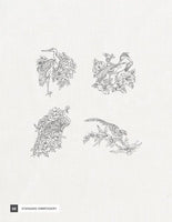 Mini - Regal Blackwork Birds
