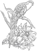 Mini - Regal Blackwork Birds