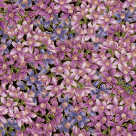 RK17990-23 LAVENDER from Avery Hill (per Metre)