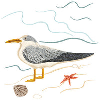 Sea Birds