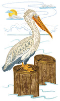 Sea Birds
