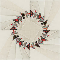 Anita University - 201  I Can Quilt - Curriculum & Designs (P)