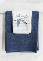 Sea Birds