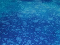 THE VAULT - AMD7825-4 - Blue (per mtr)