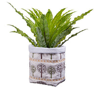 Project - Christmas Plant Cozy (P)