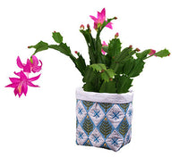 Project - Christmas Plant Cozy (P)