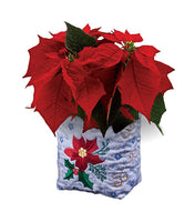Project - Christmas Plant Cozy (P)